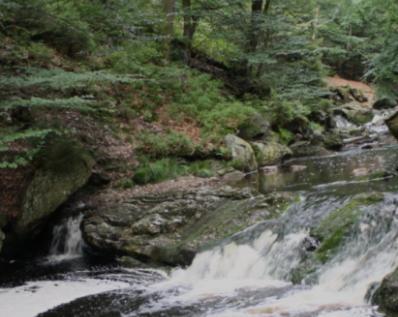 Gite Ardennes Au Coin Du Feu Jacuzzi Sauna Et Nature Jalhay Zewnętrze zdjęcie