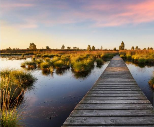 Gite Ardennes Au Coin Du Feu Jacuzzi Sauna Et Nature Jalhay Zewnętrze zdjęcie