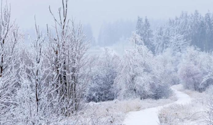 Gite Ardennes Au Coin Du Feu Jacuzzi Sauna Et Nature Jalhay Zewnętrze zdjęcie